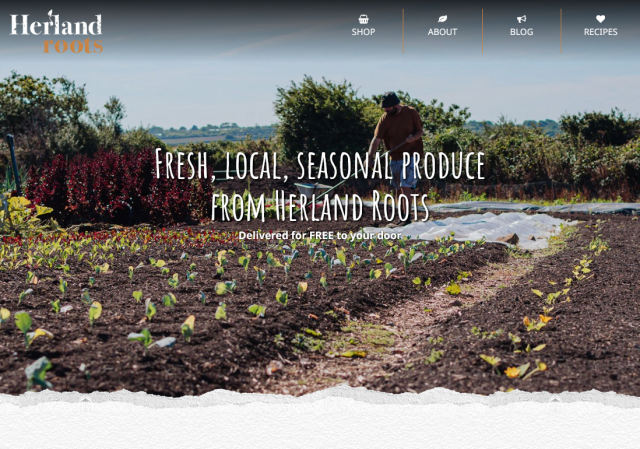 Screenshot 2022-09-02 at 08-34-49 Online Vegetable Boxes in Cornwall from Herland Roots.png